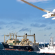 Illustration for article titled Sea Shepherd Now Using Drones To Hunt Japanese Whalers